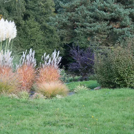 D'hotes Rubis Avec Terrasse Et Grand Parc - Fr-1-589-532 Bed & Breakfast 3*
